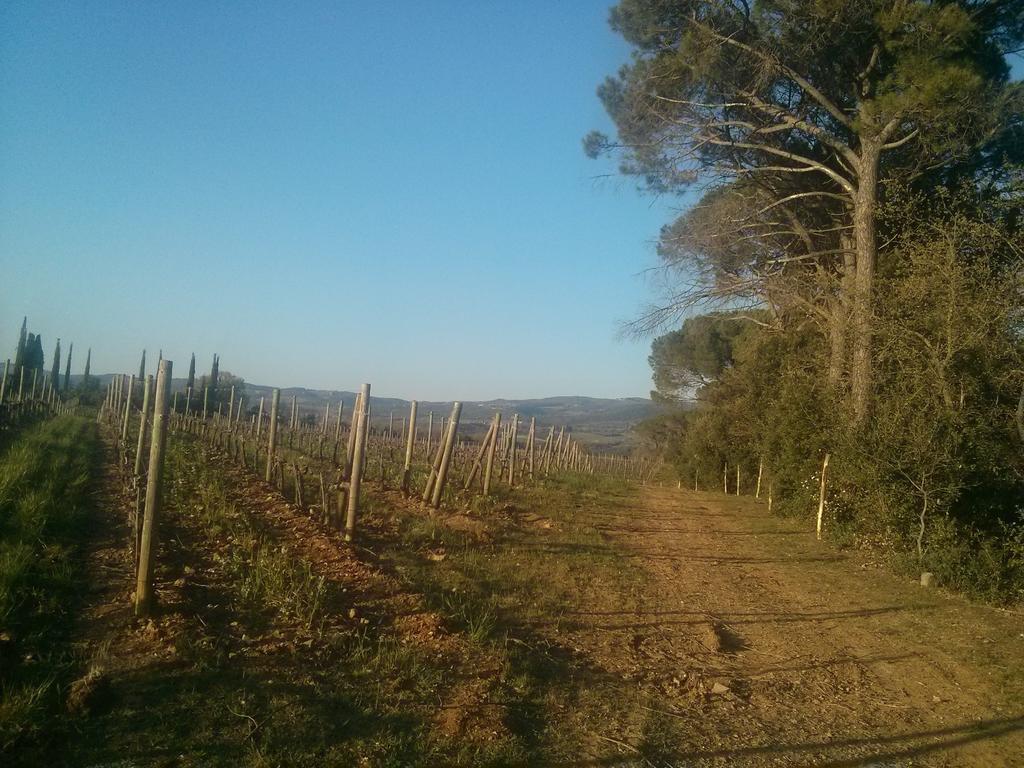 Argiano Dimore Wine Relais ภายนอก รูปภาพ