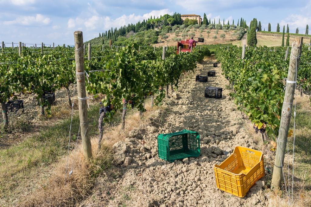 Argiano Dimore Wine Relais ภายนอก รูปภาพ