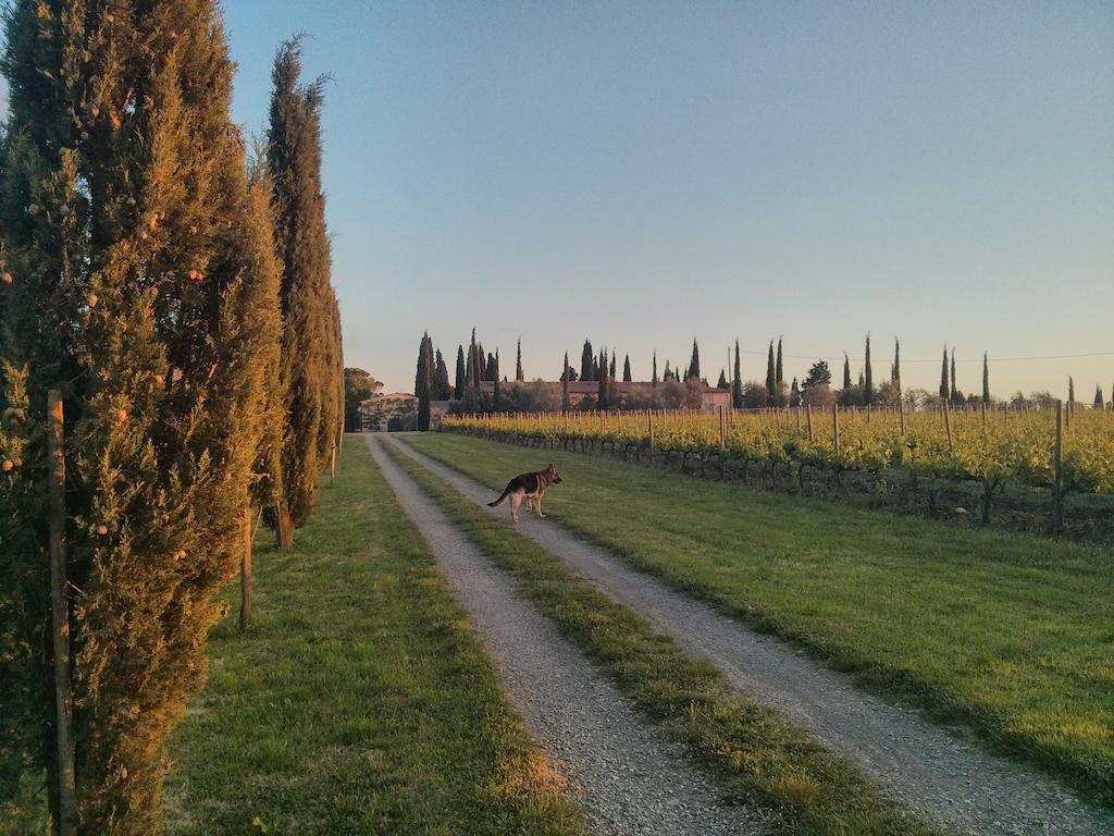 Argiano Dimore Wine Relais ภายนอก รูปภาพ